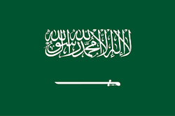 المتجر السعودى 