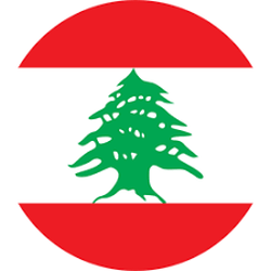 المتجر اللبنانى